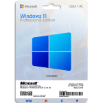 Windows 11 Professional OEM