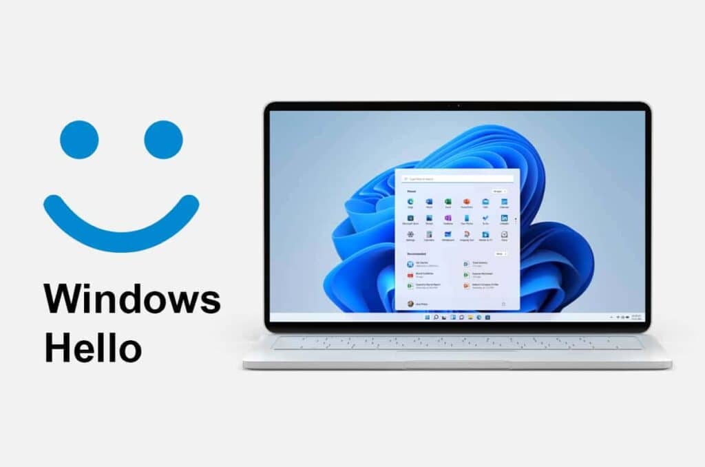 Windows 24